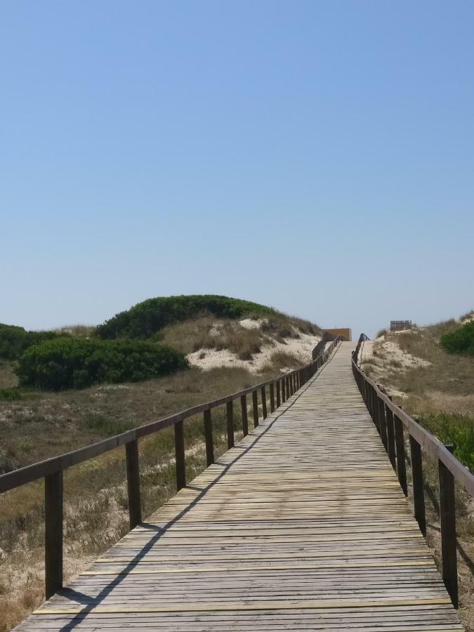 Apartament Casa Da Ilha Dos Ovos Aveiro Zewnętrze zdjęcie