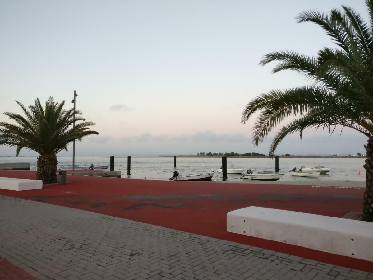 Apartament Casa Da Ilha Dos Ovos Aveiro Zewnętrze zdjęcie
